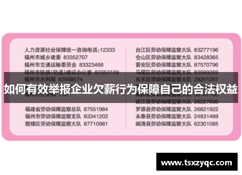 如何有效举报企业欠薪行为保障自己的合法权益