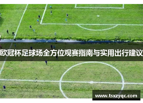 欧冠杯足球场全方位观赛指南与实用出行建议