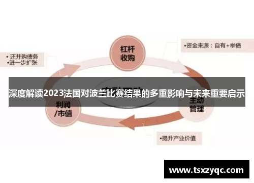 深度解读2023法国对波兰比赛结果的多重影响与未来重要启示