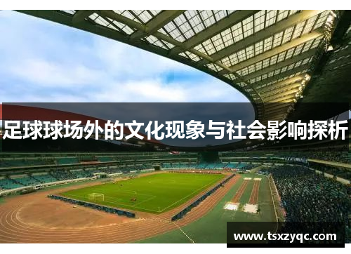 足球球场外的文化现象与社会影响探析